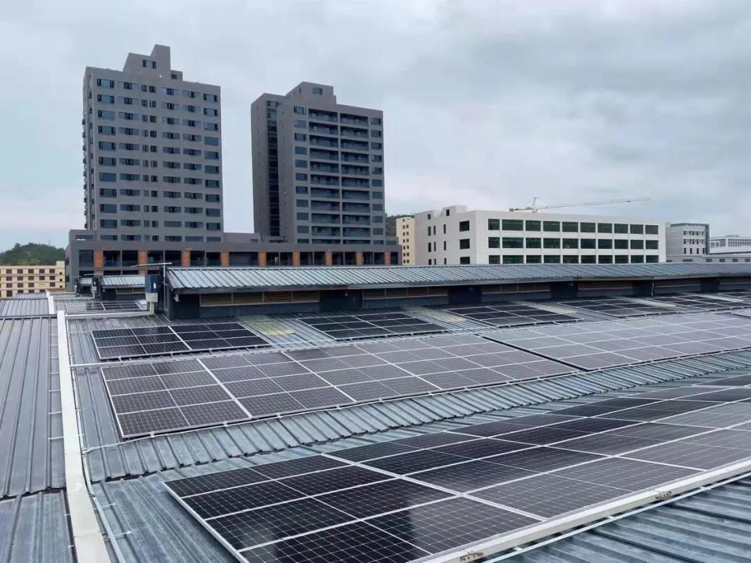 1635746710899039.jpg 1.jpg