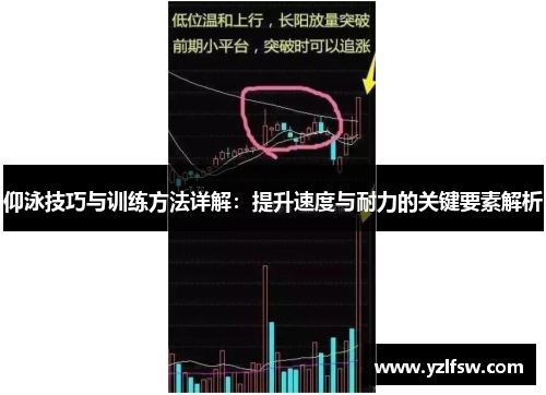 仰泳技巧与训练方法详解：提升速度与耐力的关键要素解析